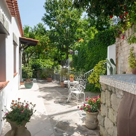 Villa Il Mandorlo With Garden And Terrace In Forio D'ischia