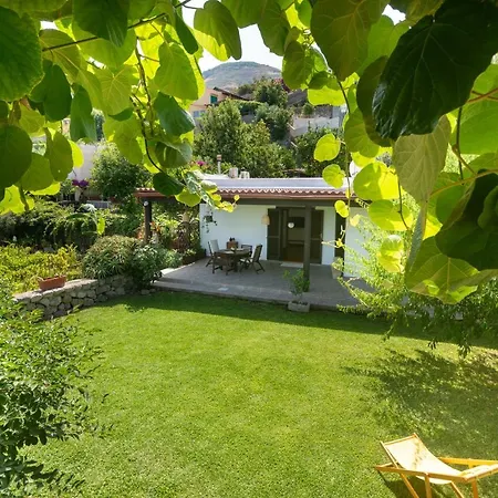 Il Mandorlo With Garden And Terrace In Forio D'ischia Villa