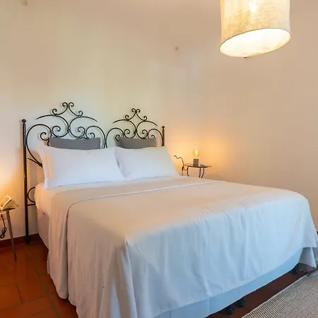 Il Mandorlo With Garden And Terrace In Forio D'ischia Villa *