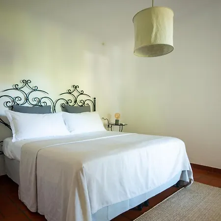 Villa Il Mandorlo With Garden And Terrace In Forio D'ischia Forio di Ischia