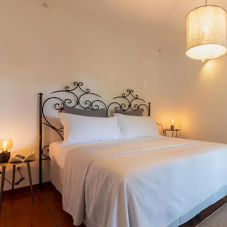 Villa Il Mandorlo With Garden And Terrace In Forio D'ischia Forio di Ischia