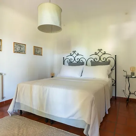 Il Mandorlo With Garden And Terrace In Forio D'ischia Villa