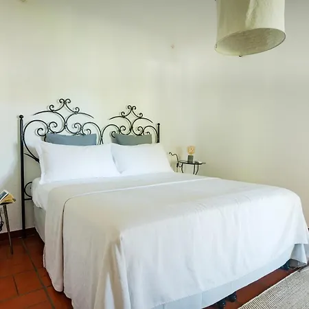 Villa Il Mandorlo With Garden And Terrace In Forio D'ischia