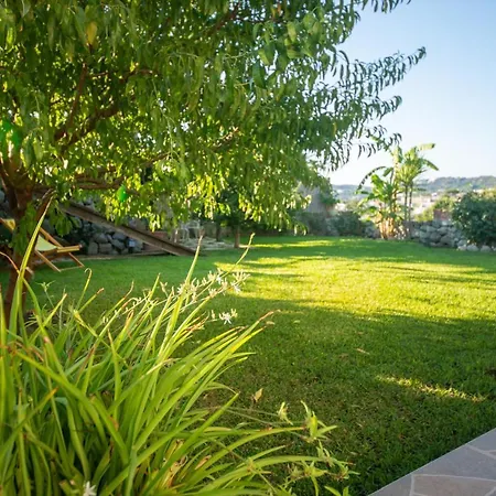 Il Mandorlo With Garden And Terrace In Forio D'ischia Villa